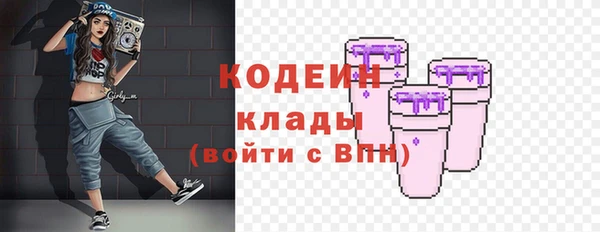 дмт Елизово