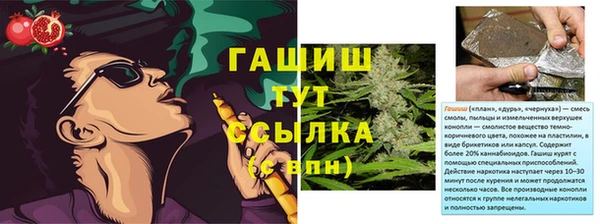 PSILOCYBIN Приозерск