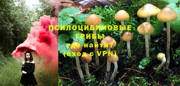 PSILOCYBIN Приозерск