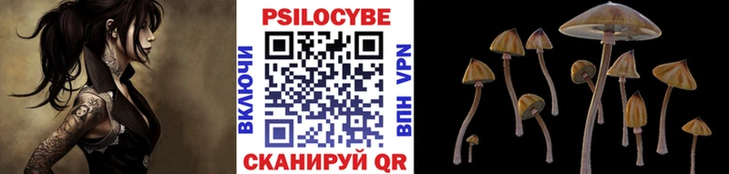 Псилоцибиновые грибы Psilocybe мега маркетплейс Армянск